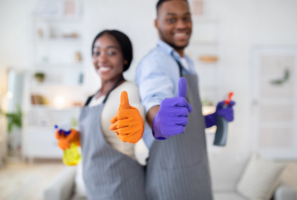 What to Expect from Professional Cleaners